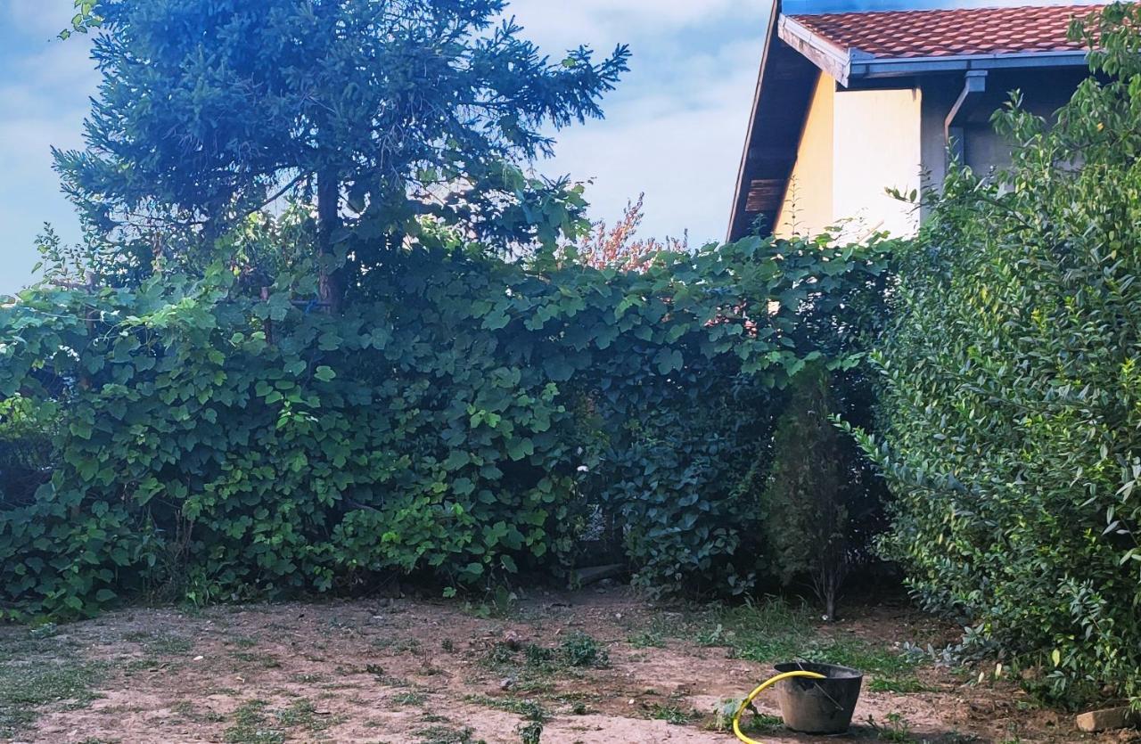 Farmhouse Studios Belgrade Extérieur photo